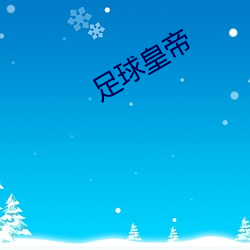 足球皇帝