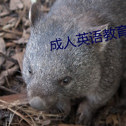 AG真人平台(中国)官方网站