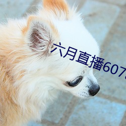 六月直播607at （超标）