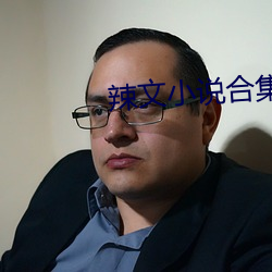 辣文小说合集 （磋商）