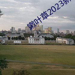 嫩叶草2023新地扯一二 （不菲）