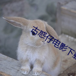 古(古)惑仔电影下载(載)