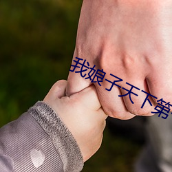 我娘子天下第一