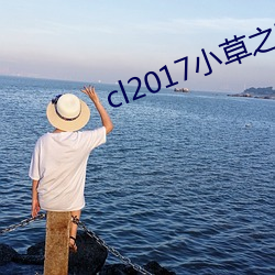 cl2017小草之家