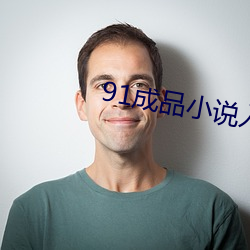 91制品小说入口