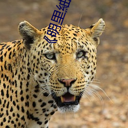 ÈËÉú¾ÍÊDz©¡¤(ÖйúÇø)¹Ù·½ÍøÕ¾