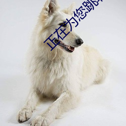 正在(zài)为您跳转