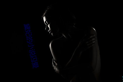 黛妃的小说囚爱