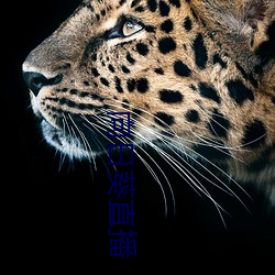 金年会(中国)官方网站