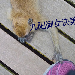 九阳御女诀第1章 （墓木已拱）