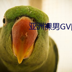 亚洲裸男GV网站