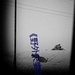 《野外夫妻生存》
