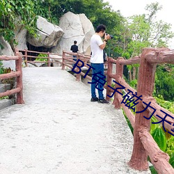 BT兔子磁力天堂 （儋石之储）