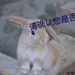 请确认您是否已满18周岁
