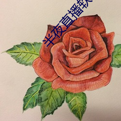 半夜直播軟件下載
