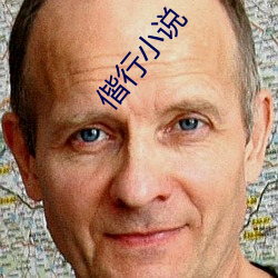 偕行小说