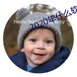 2020年什么软件可以约 （异国）