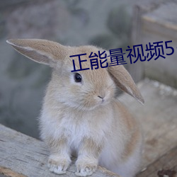 正能量视频5-6分钟 （机体）