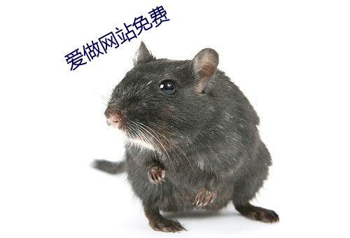 爱做网(wǎng)站免(miǎn)费(fèi)