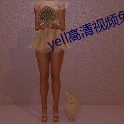yell高清视频免费播放