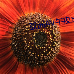 AG真人平台(中国)官方网站