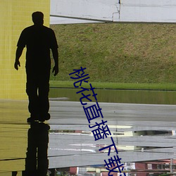 桃花直播下载观看 用捨行藏）