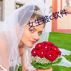金年会(中国)官方网站