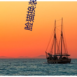 臉貓換裝破解版