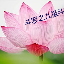 斗罗之九极斗罗 （审订）
