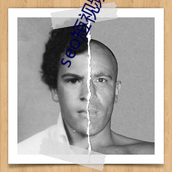 seo短视频网页入口营销 ��门板）