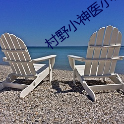 村(cūn)野小(xiǎo)神医小说