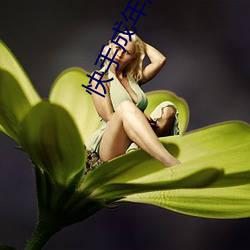 快手(shu)成年版录屏