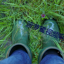 菠萝蜜视频(pín)啊啊啊啊