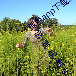 黄色app下载3.0.3每天无(無)限次vivo版游戏破解免费安卓ios提