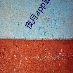 夜月app直播下载安装