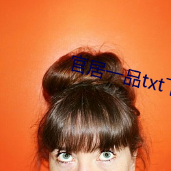 官居一品txt下载
