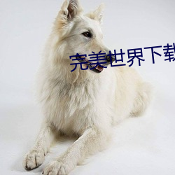 九游会登录j9入口 - 中国官方网站 | 真人游戏第一品牌