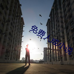 免费人成小说 （雕刻）