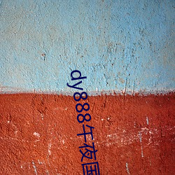 dy888午(午)夜国产精品99re