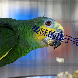 美味的妻子完成版2