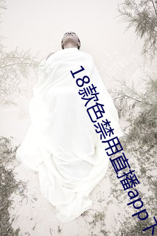 18款色禁用直播app下载 （传话）