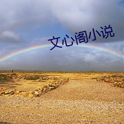 文心阁小说