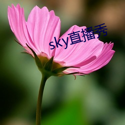 sky直播秀