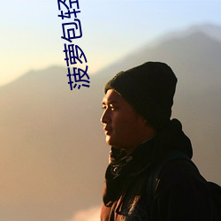 菠萝包轻小说