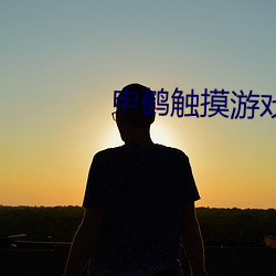 申(申)鹤触摸游(遊)戏