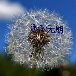 渺渺无期