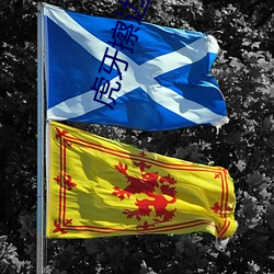 虎牙擦邊球主播