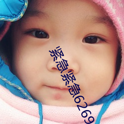 緊急緊急626969