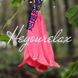 她是纯爱文女配(pèi)