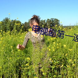 电视剧第一速度